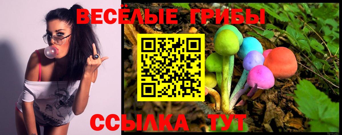Галлюциногенные грибы GOLDEN TEACHER Ярцево