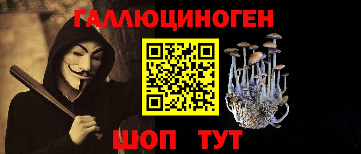 Галлюциногенные грибы Psilocybe  Вход с VPN  хочу   Ярцево 